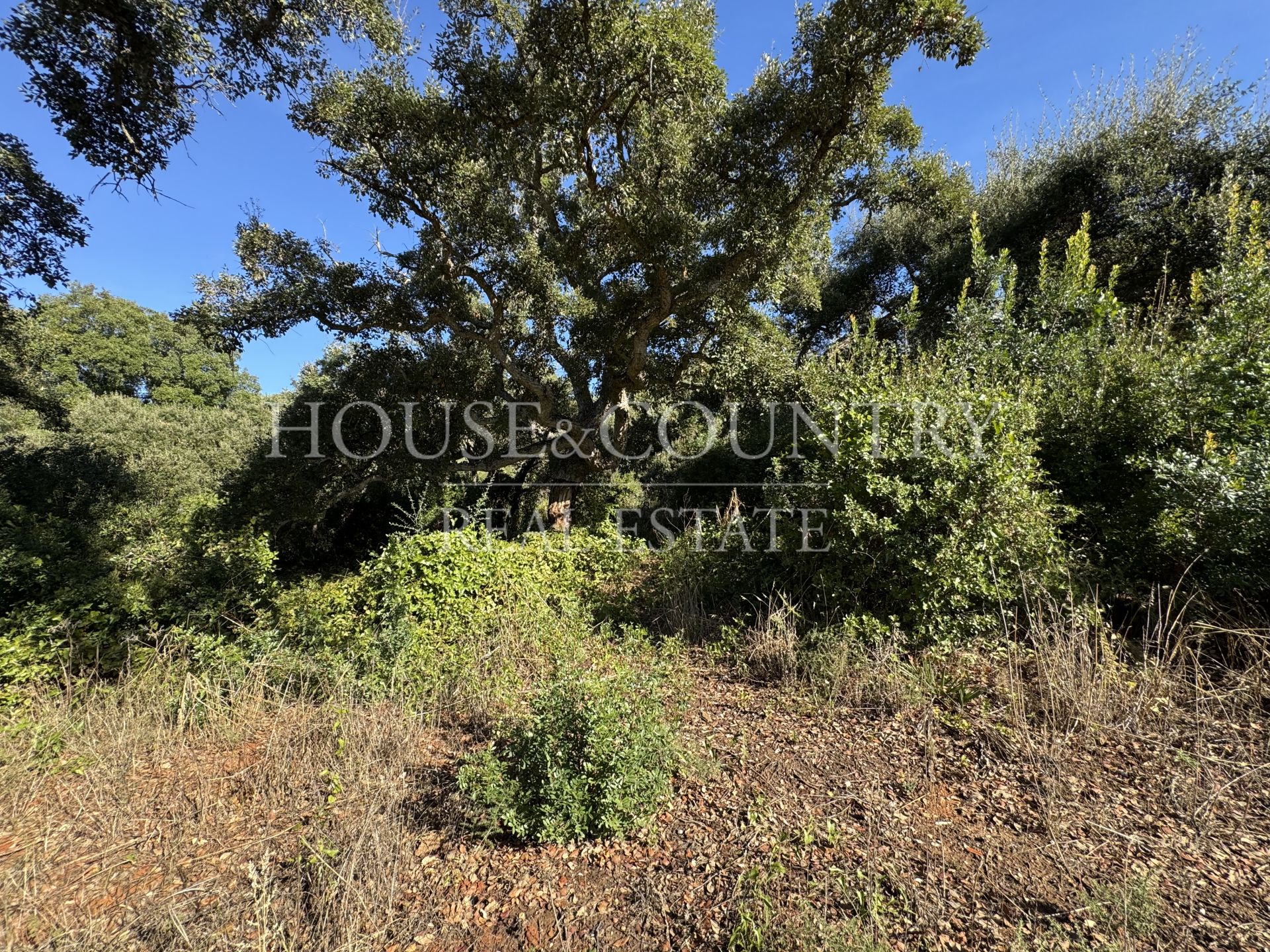 Plot in Los Altos de Valderrama, Sotogrande