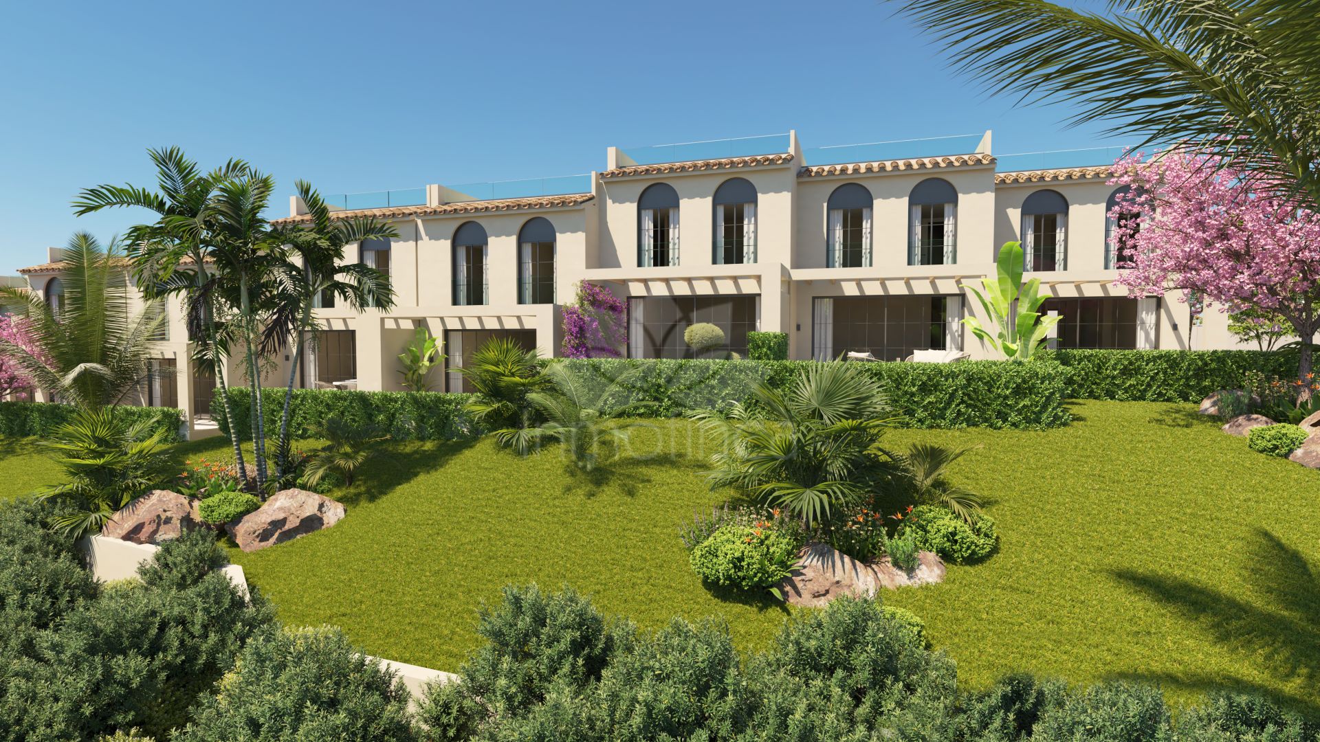 Development in Guaro