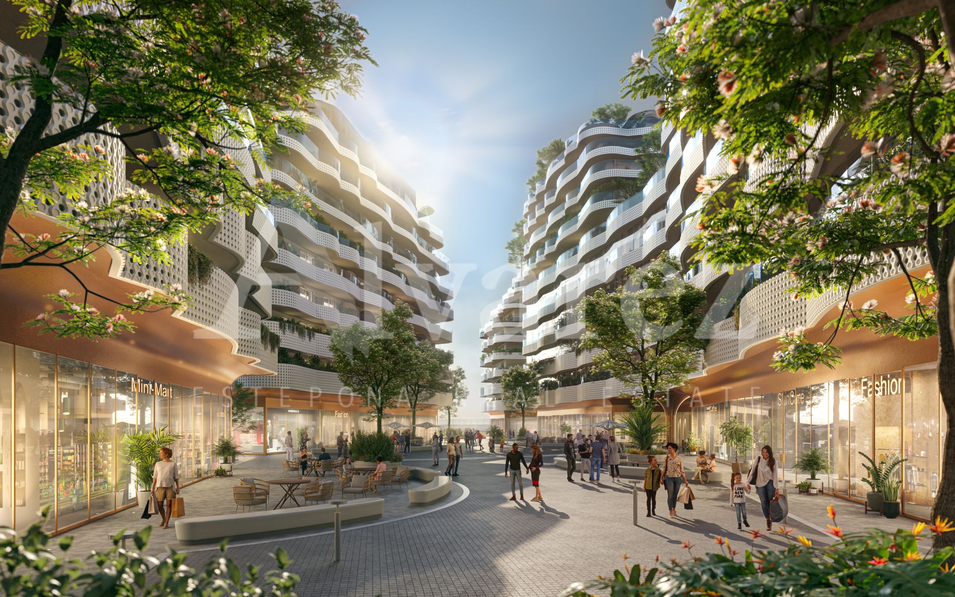 Development in Cadiz