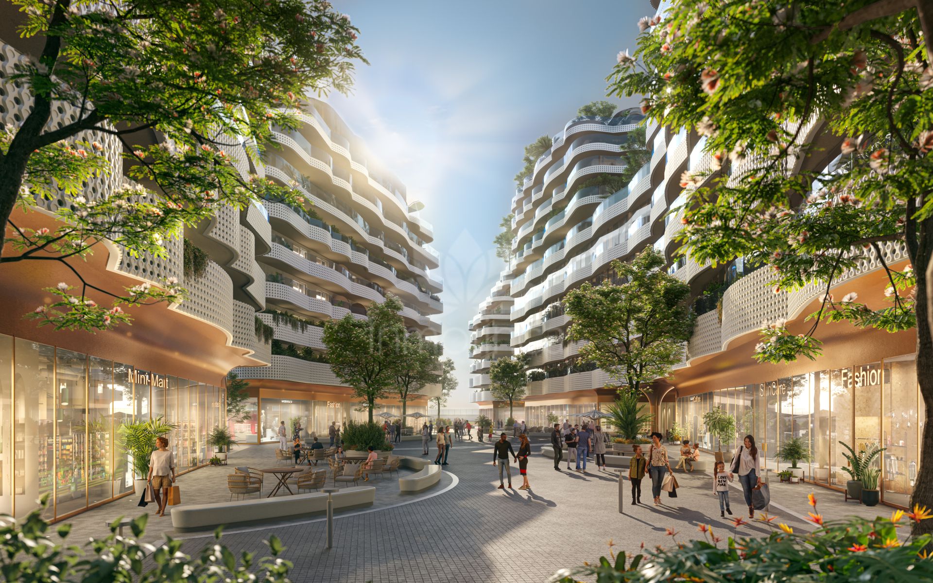 Development in Cadiz