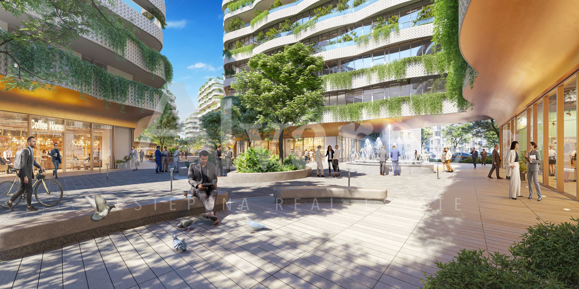 Development in Cadiz