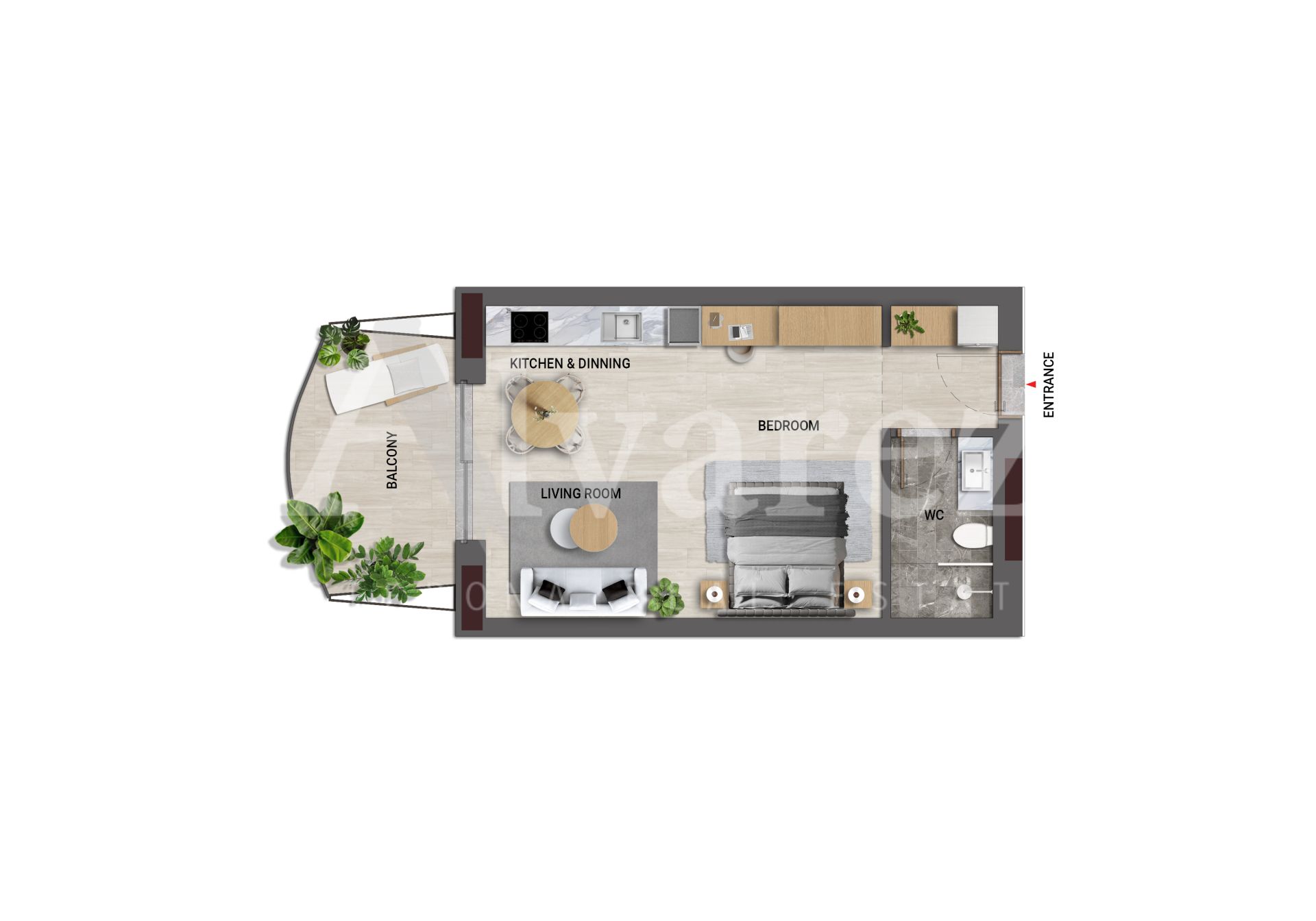 Studio in Cadiz