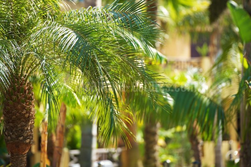 Development in Bahia de Banus, Marbella