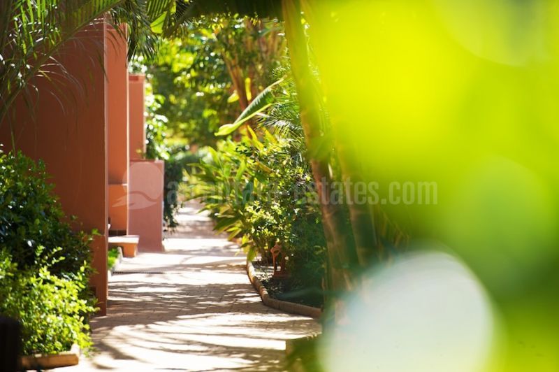 Promoción en El Embrujo Playa, Marbella