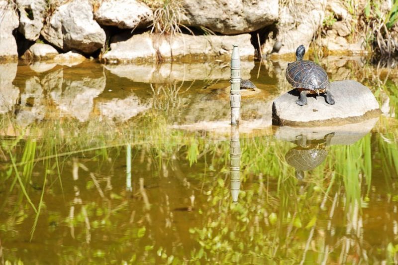 Promoción en El Embrujo Playa, Marbella