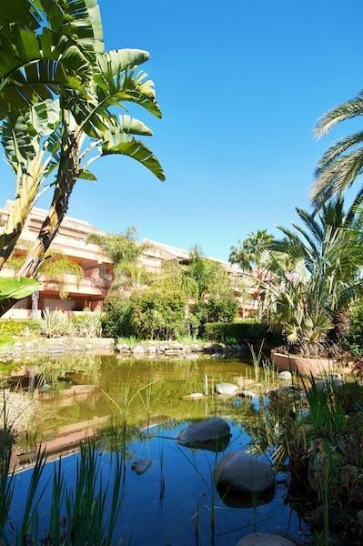 Promoción en El Embrujo Playa, Marbella