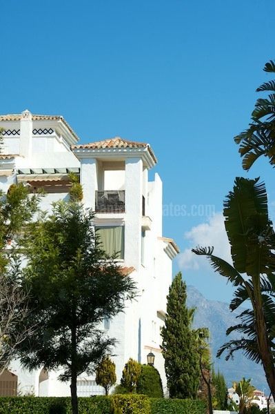 Promoción en San Pedro Playa, San Pedro de Alcantara