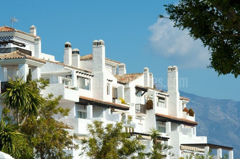 Promoción en San Pedro Playa, San Pedro de Alcantara