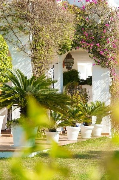 Promoción en San Pedro Playa, San Pedro de Alcantara