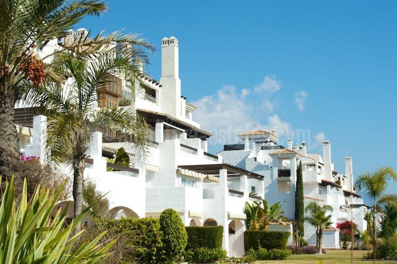 Promoción en San Pedro Playa, San Pedro de Alcantara