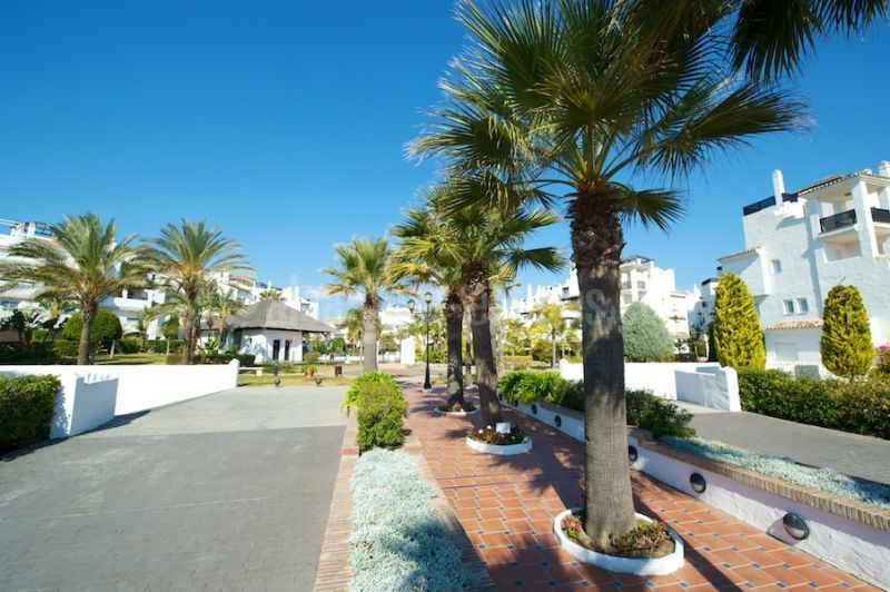 Promoción en San Pedro Playa, San Pedro de Alcantara