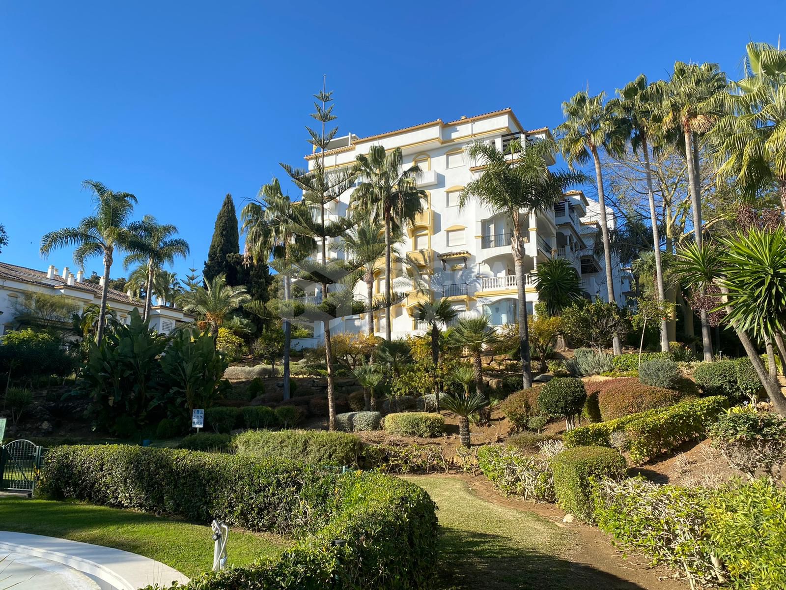 Apartment for rent in Hacienda Nagüeles Marbella