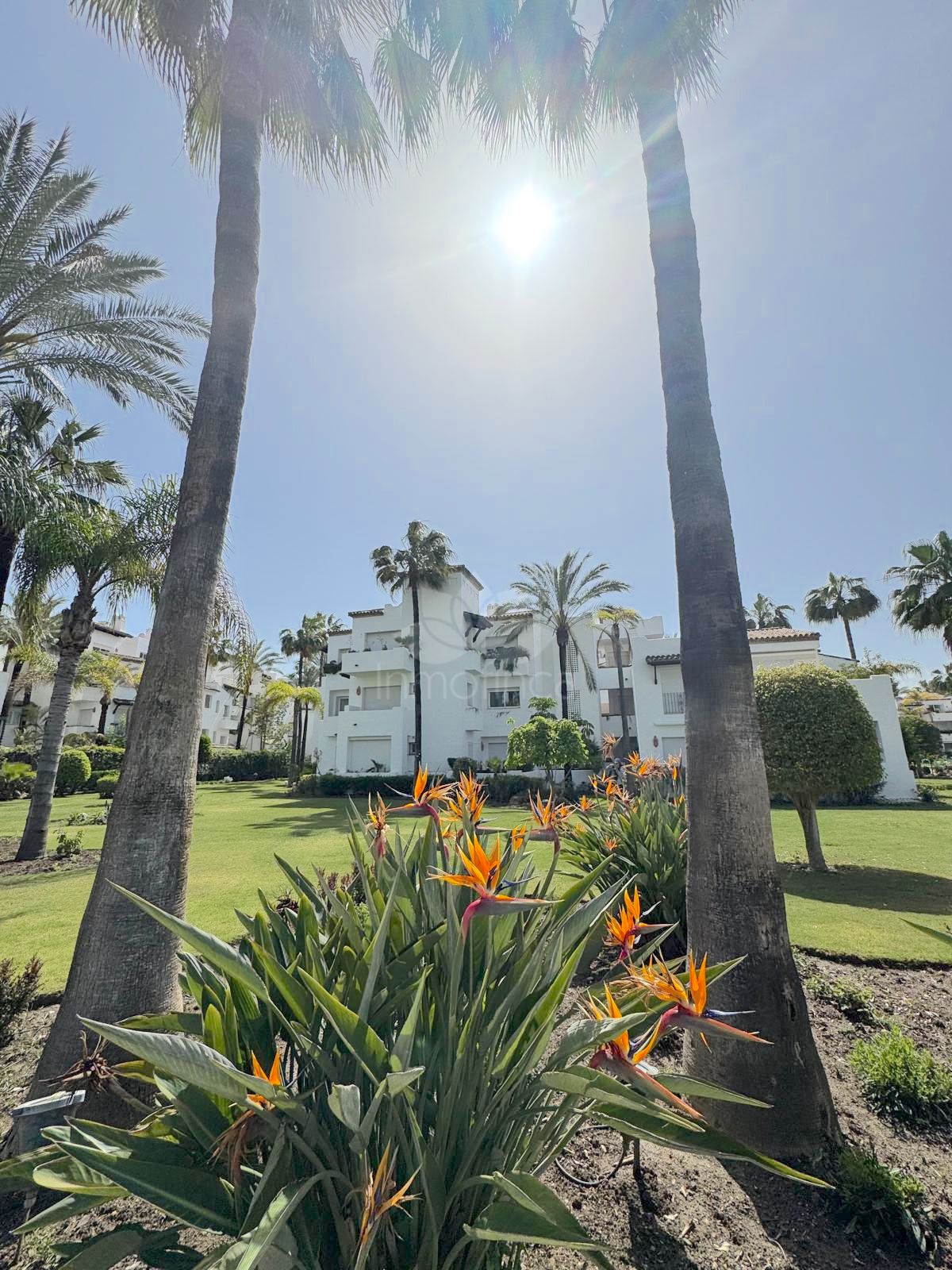 Apartamento Planta Baja en Costalita, Estepona