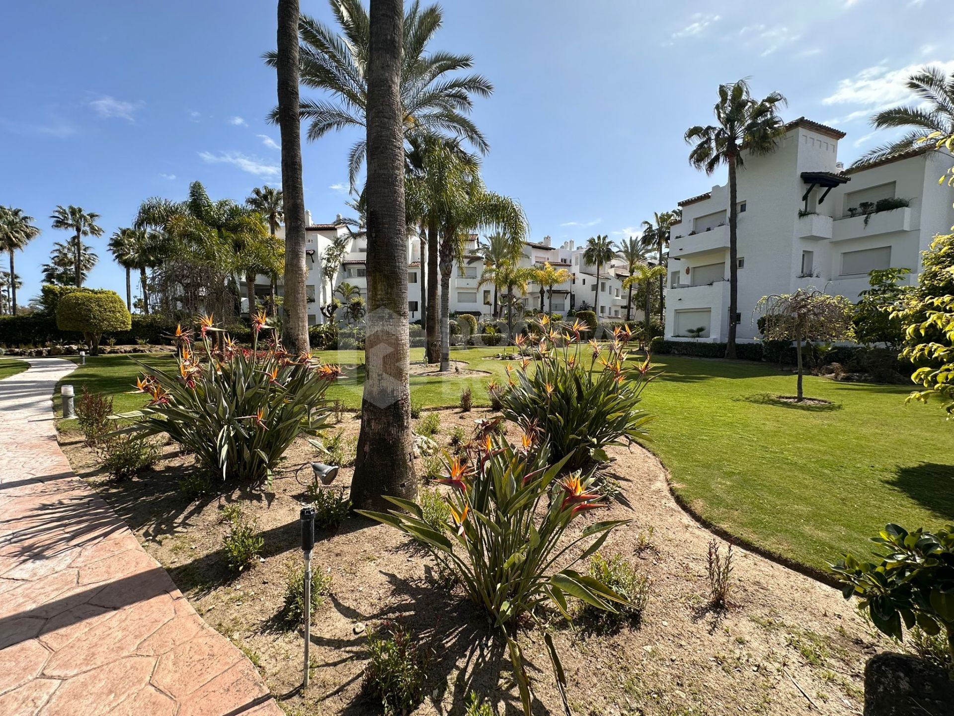 Exclusive Apartment for Sale in Costalita Urbanization, Estepona - New Golden Mile