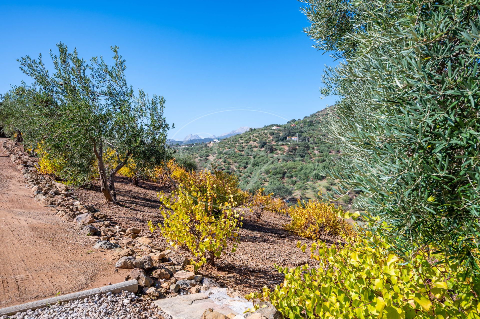 Casa de Campo en venta en Riogordo