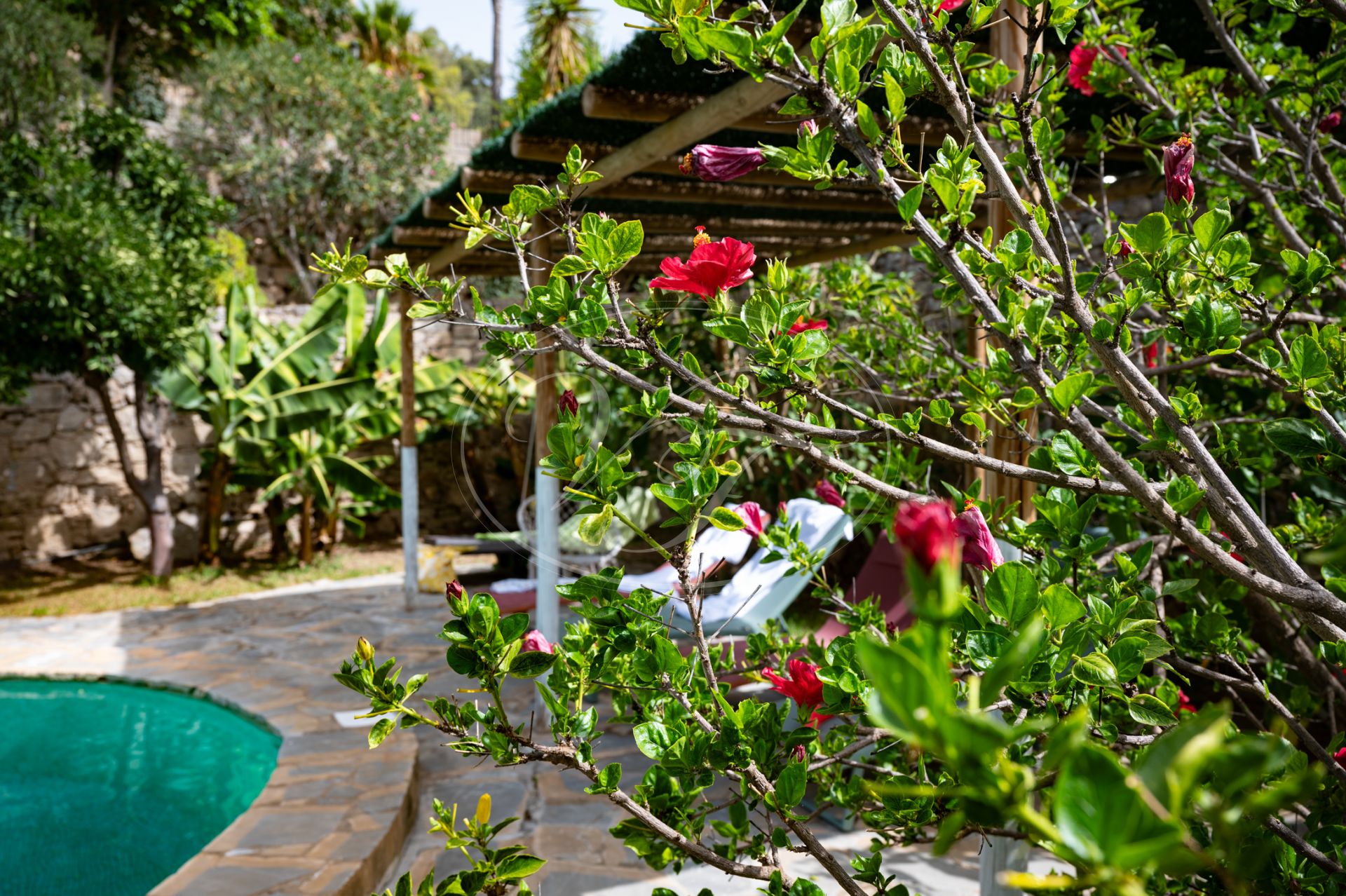 Country House for sale in Jimena de La Frontera