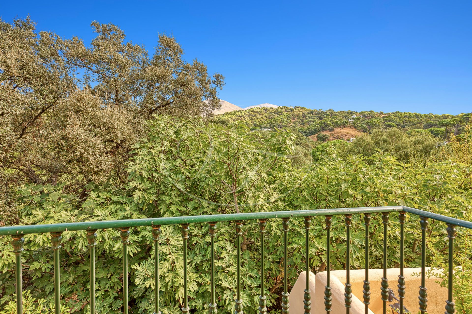 Finca zu verkaufen in Casares Montaña