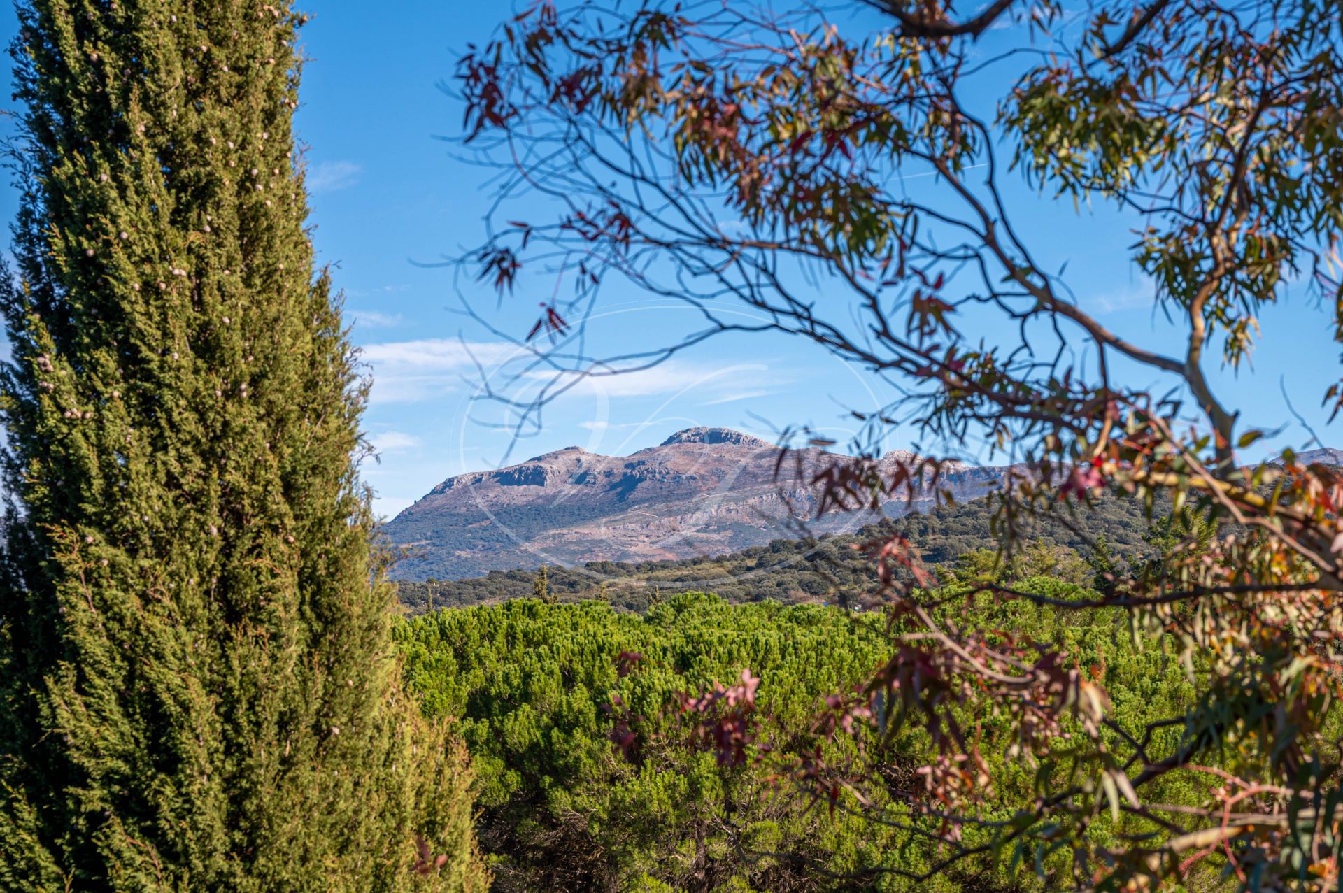 Cortijo en venta en Ronda