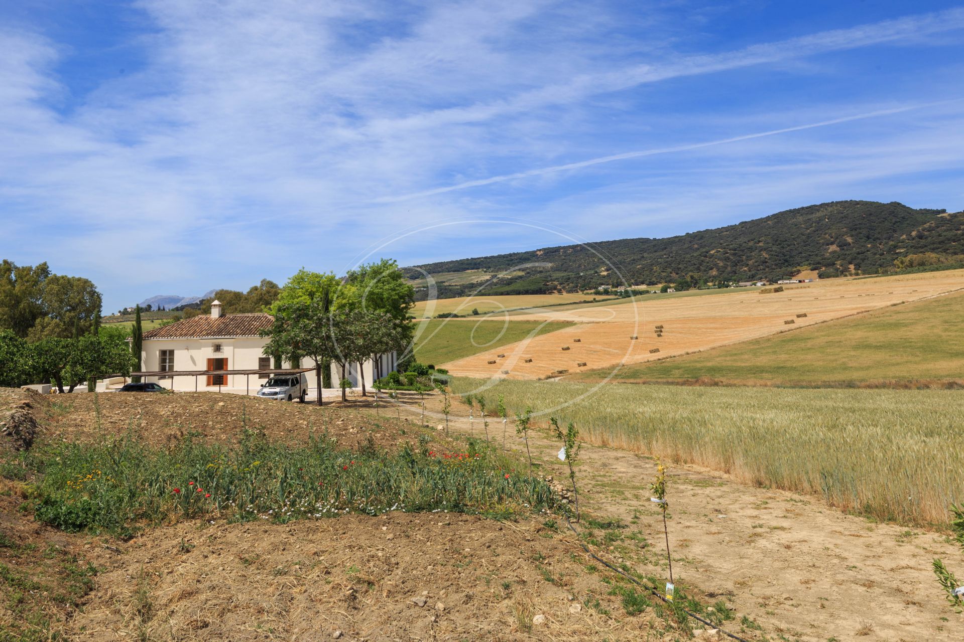 Country House for sale in Ronda