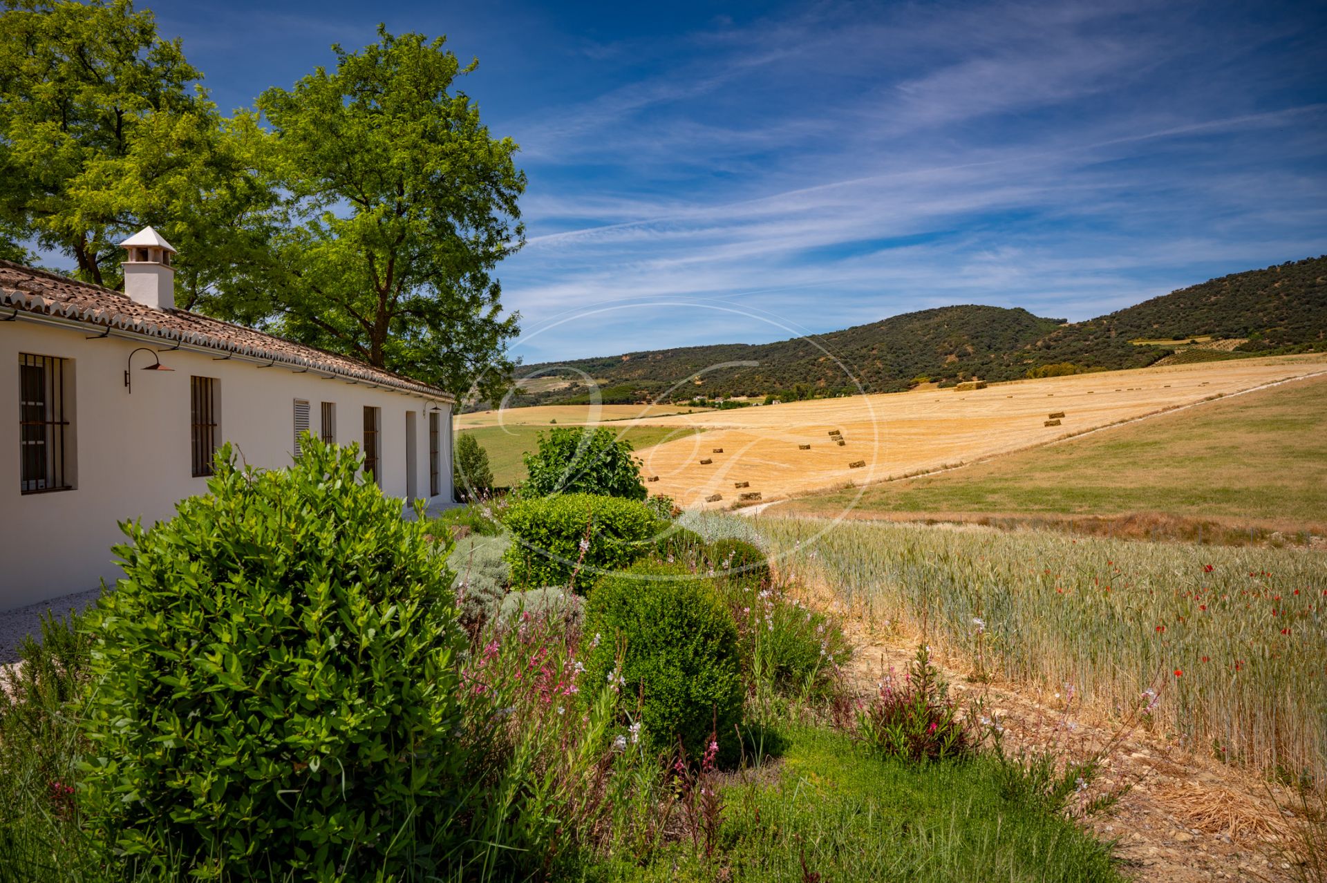 Country House for sale in Ronda
