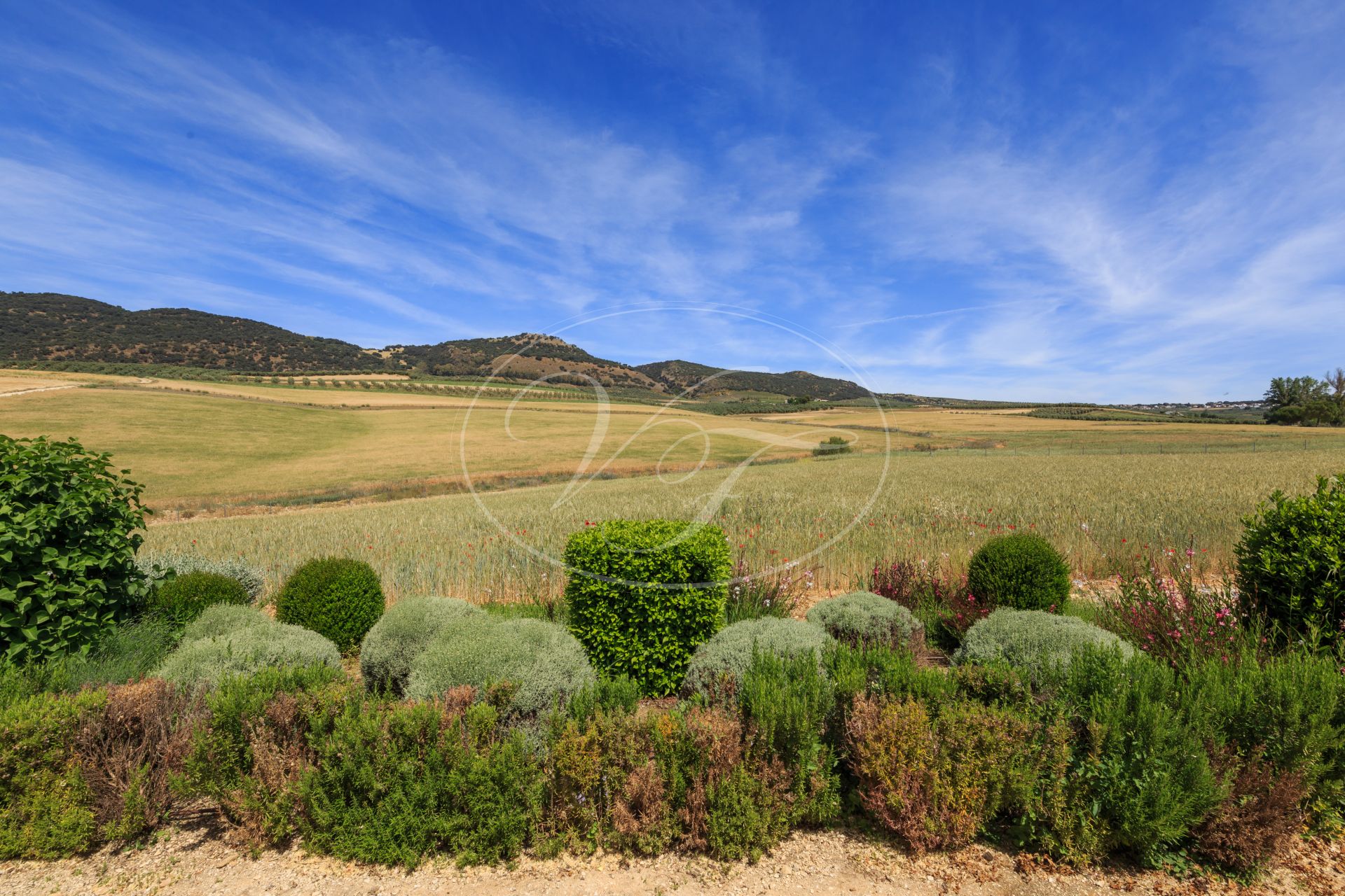 Country House for sale in Ronda