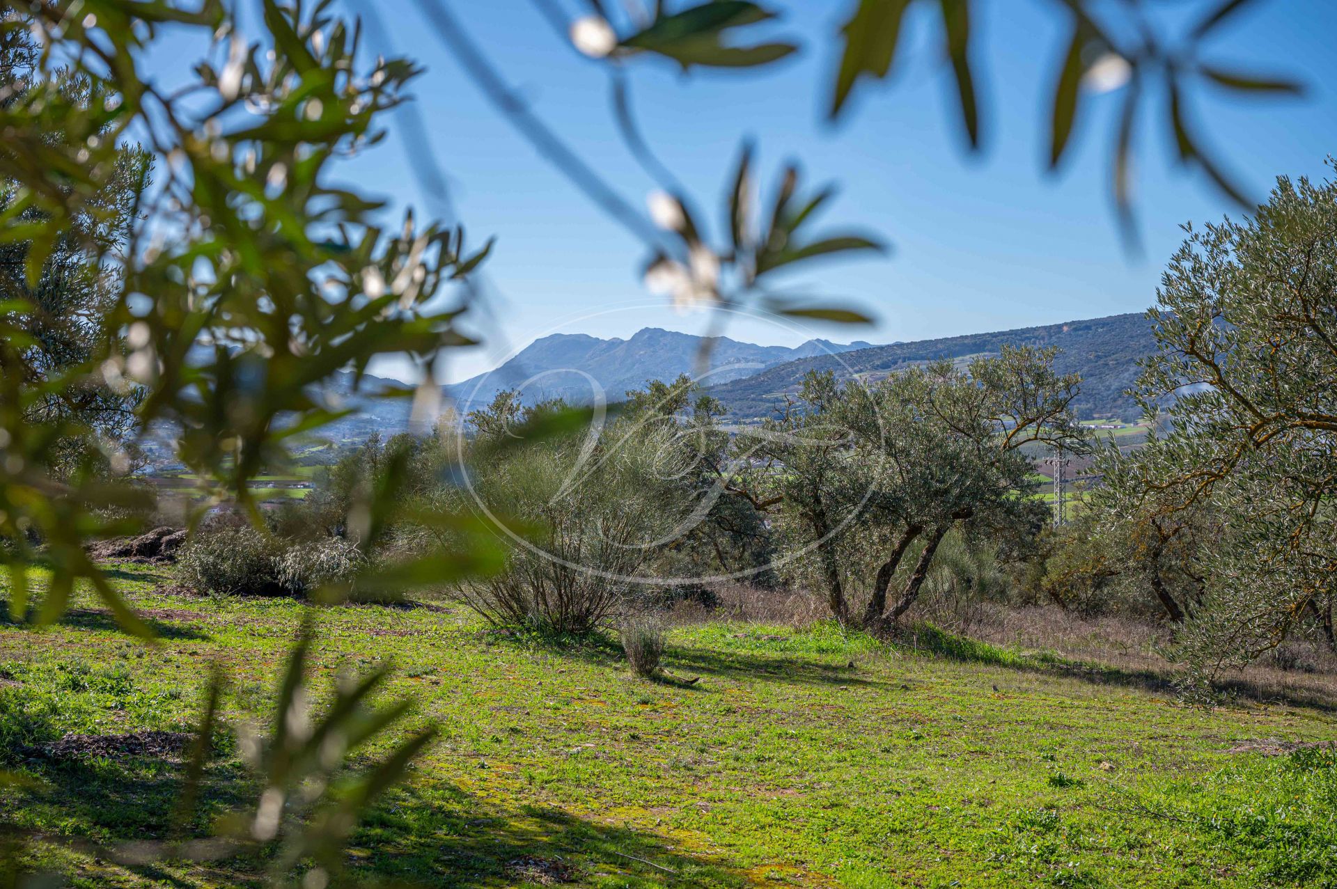 Casa de Campo en venta en Ronda