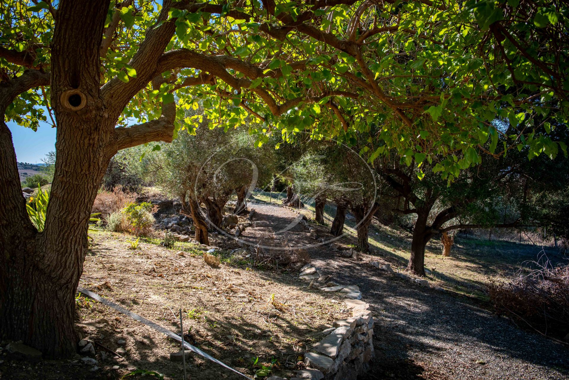 Cortijo for sale in Gaucin
