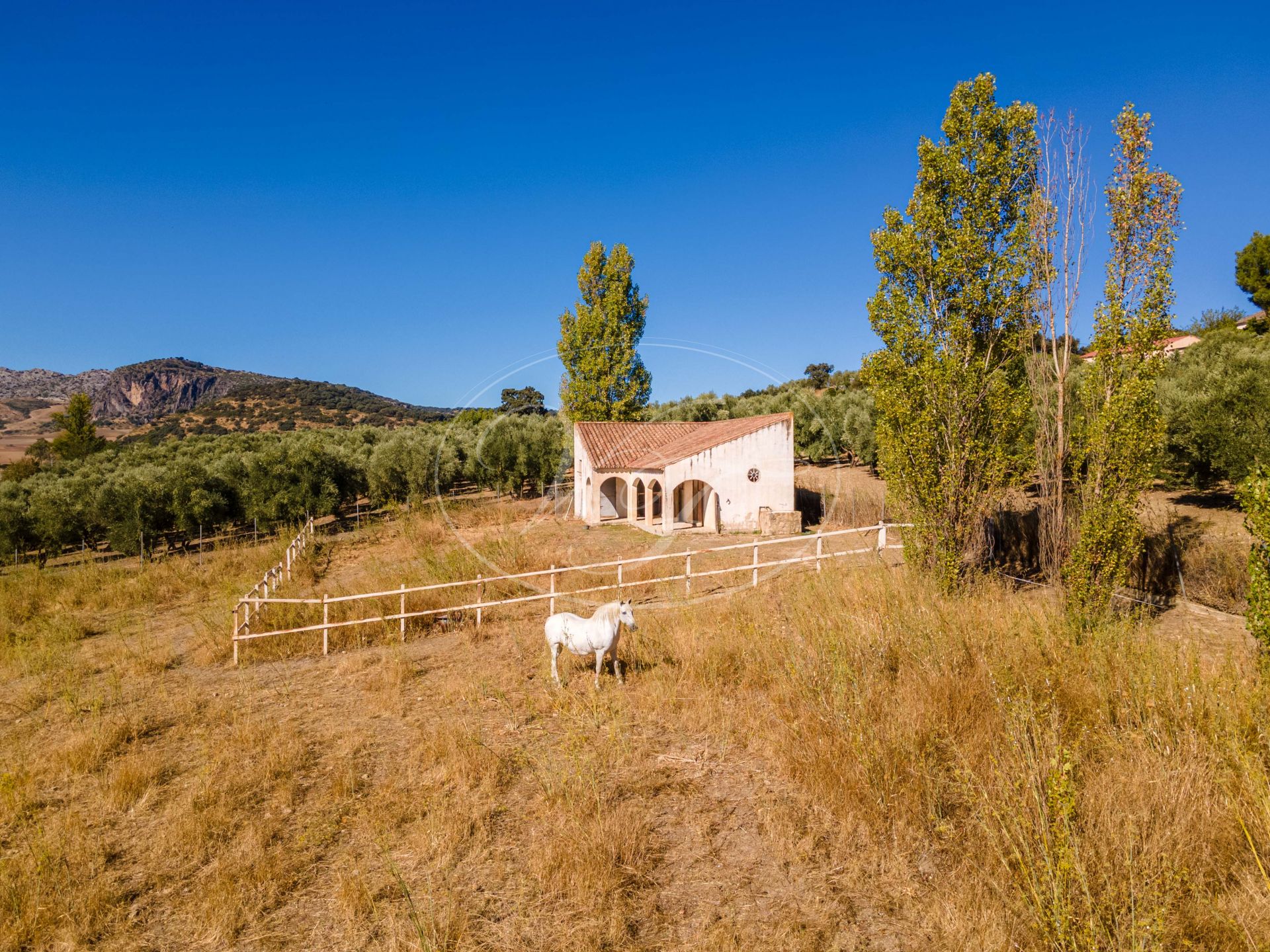 Country House for sale in Ronda