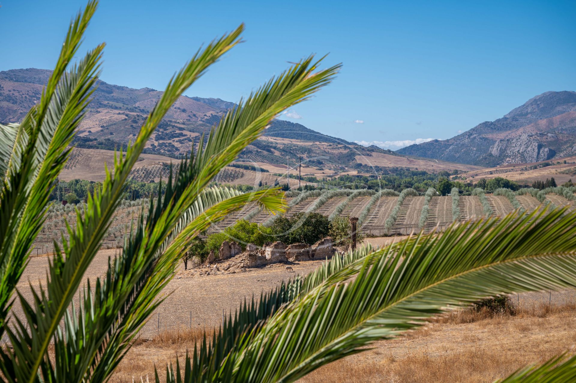 Country House for sale in Ronda