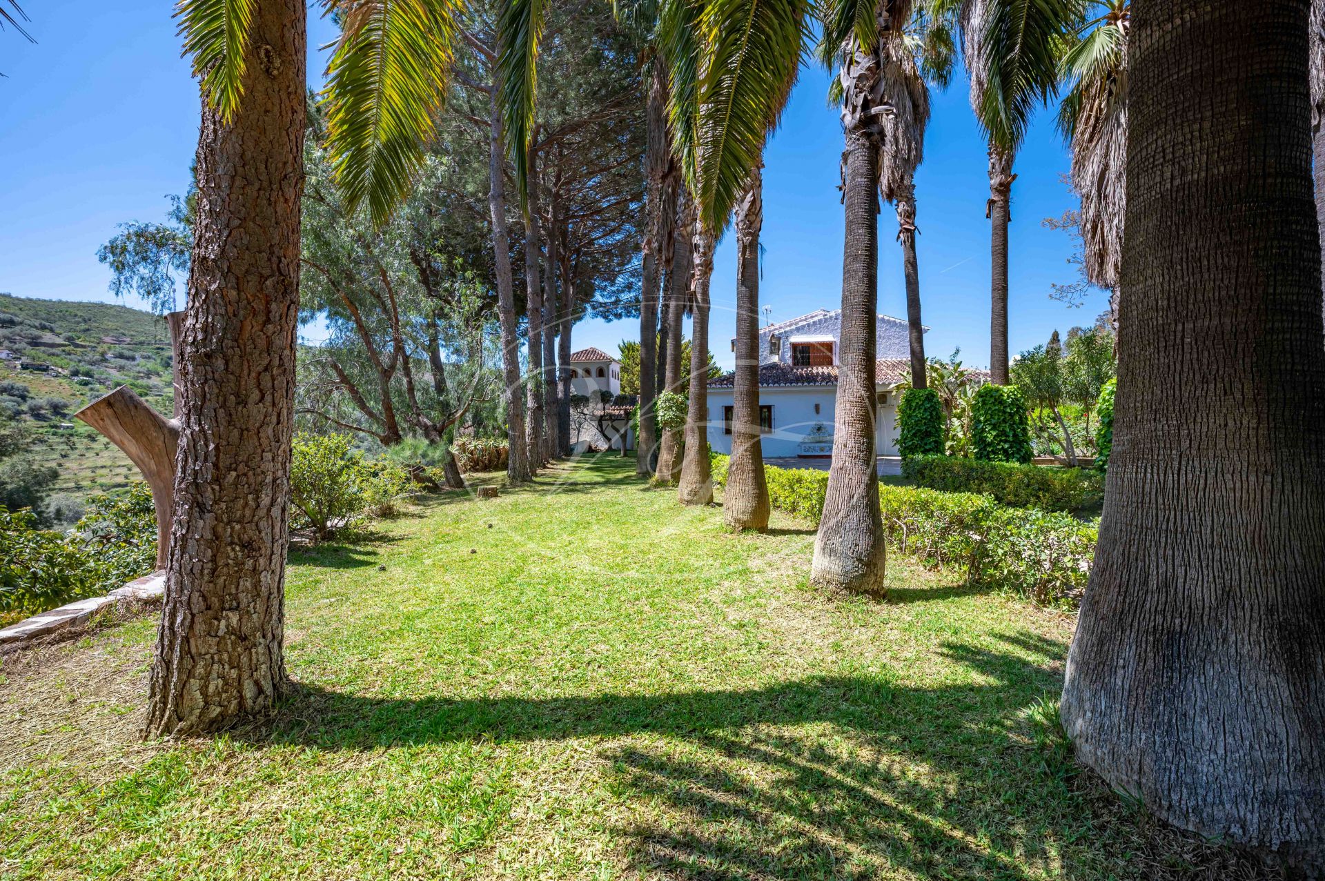 Country House for sale in Alcaucin
