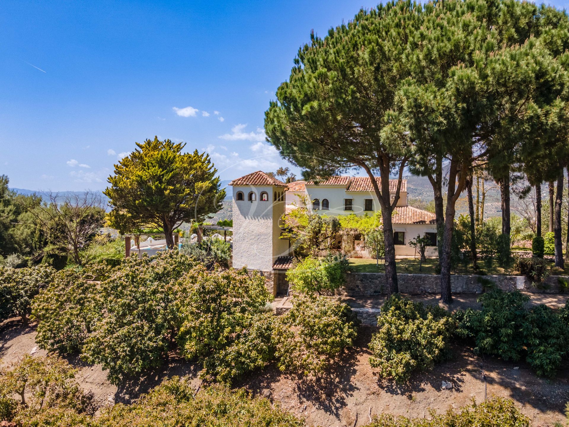 Country House for sale in Alcaucin
