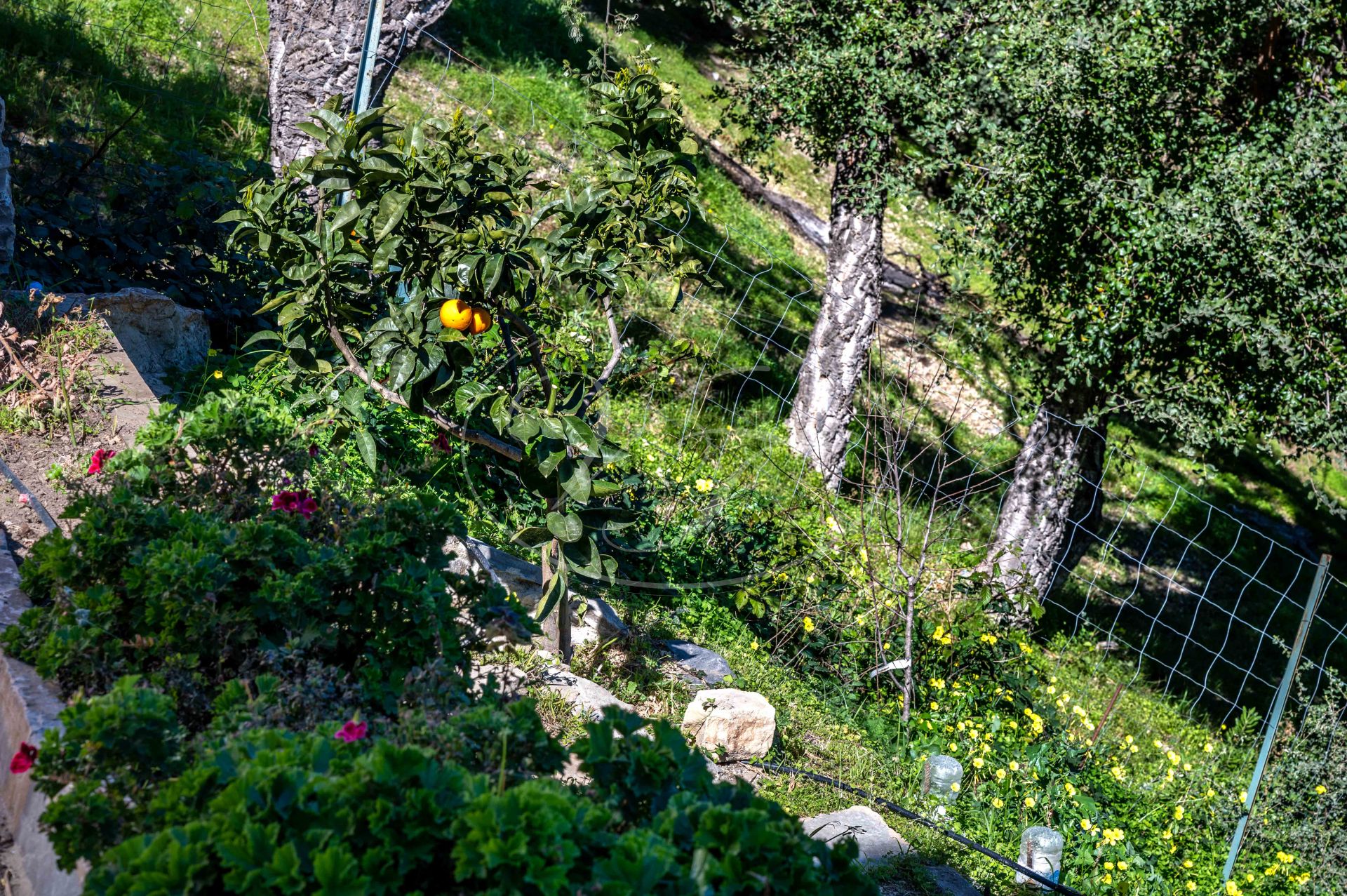 Casa de Campo en venta en Casares