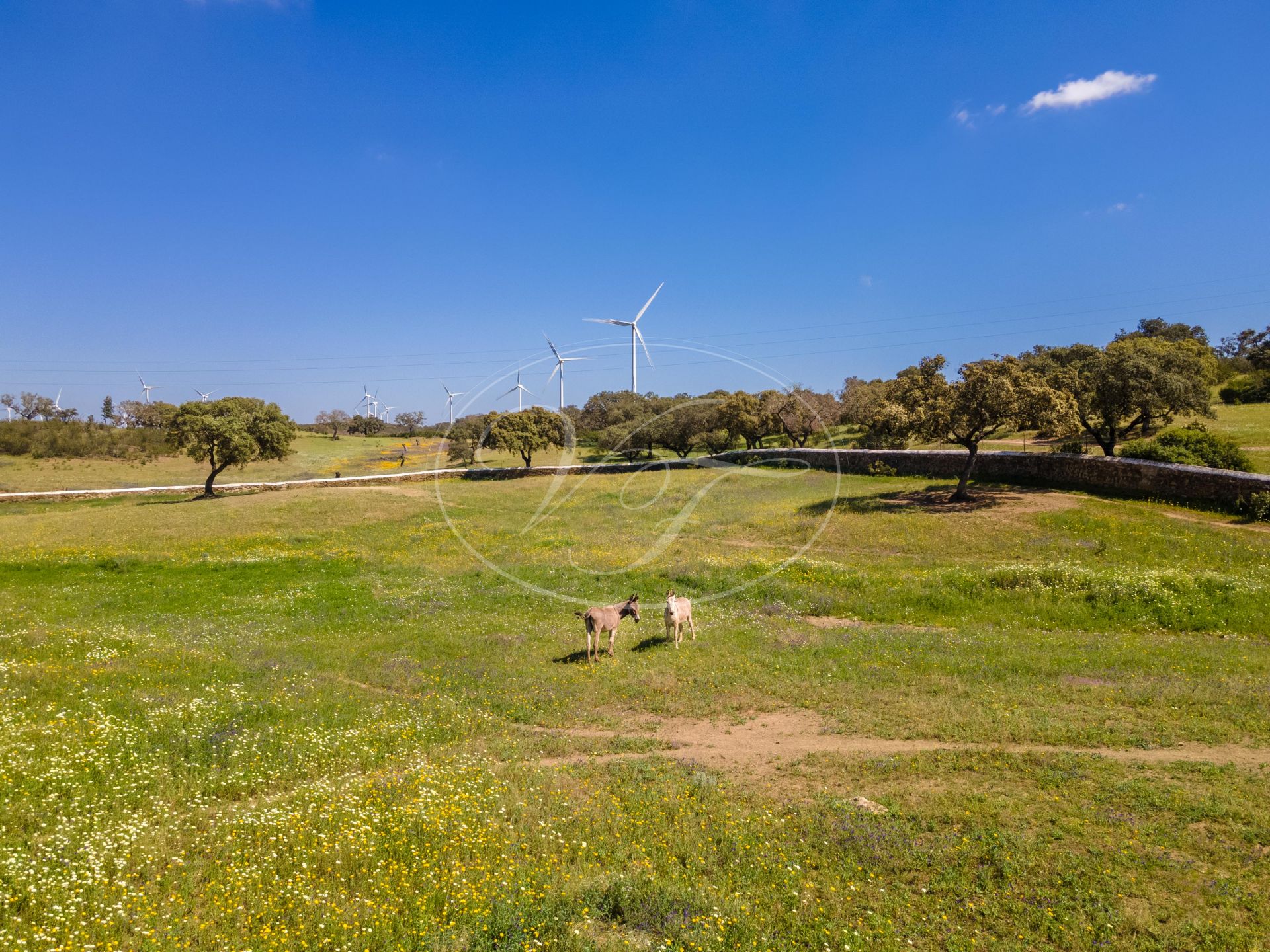 Hacienda en venta en Huelva