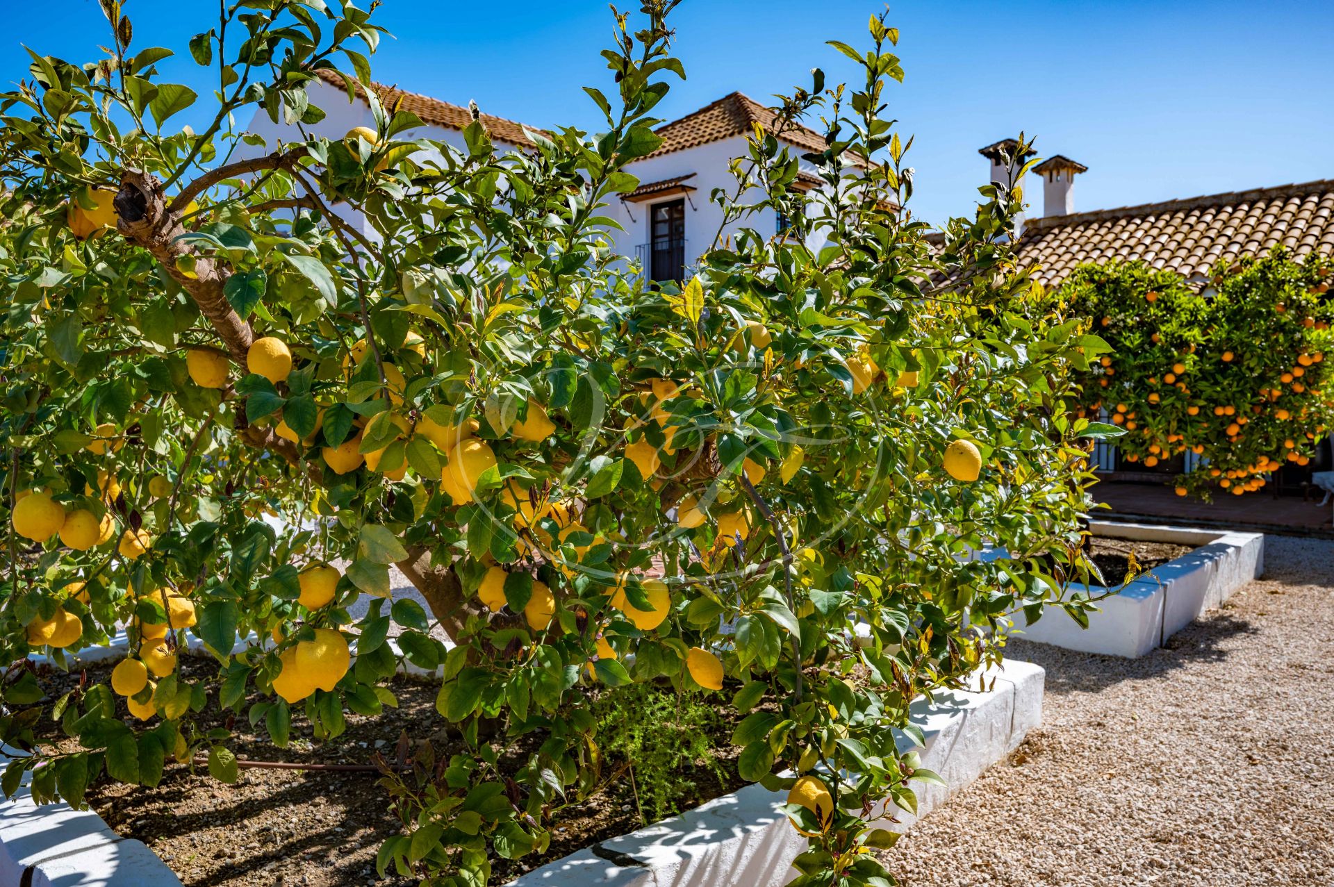 Cortijo for sale in Malaga