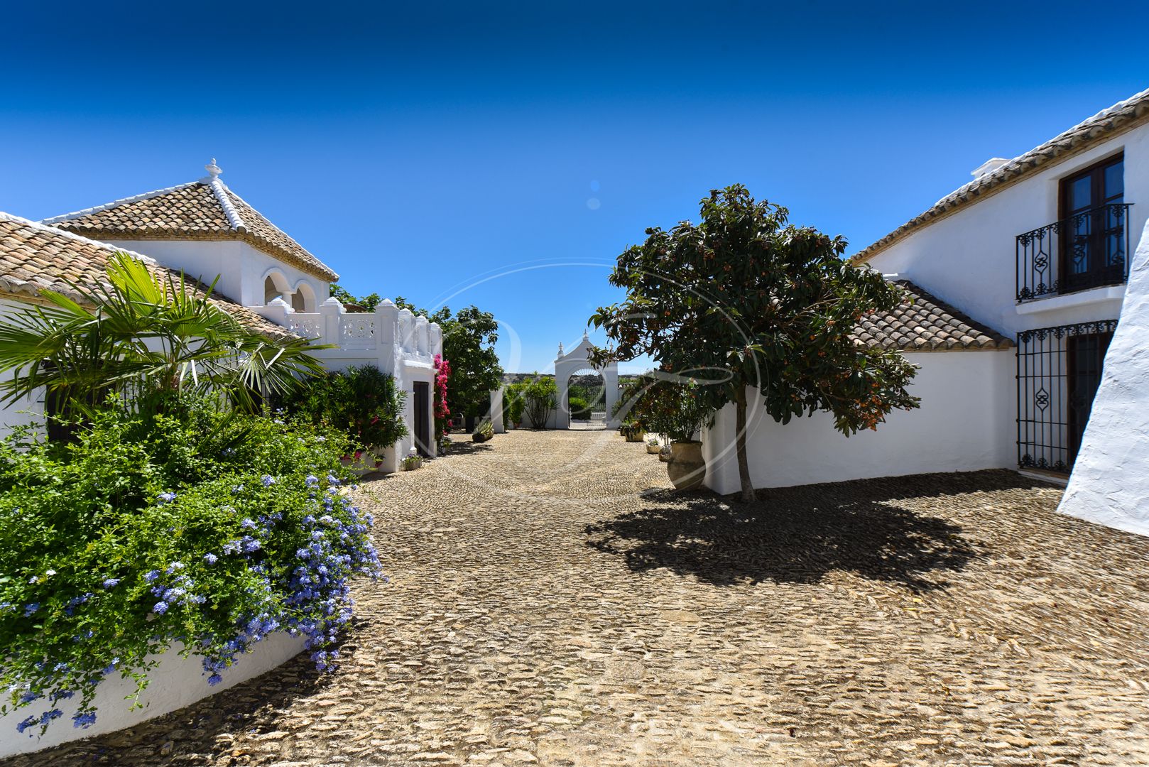 Cortijo for sale in Ronda