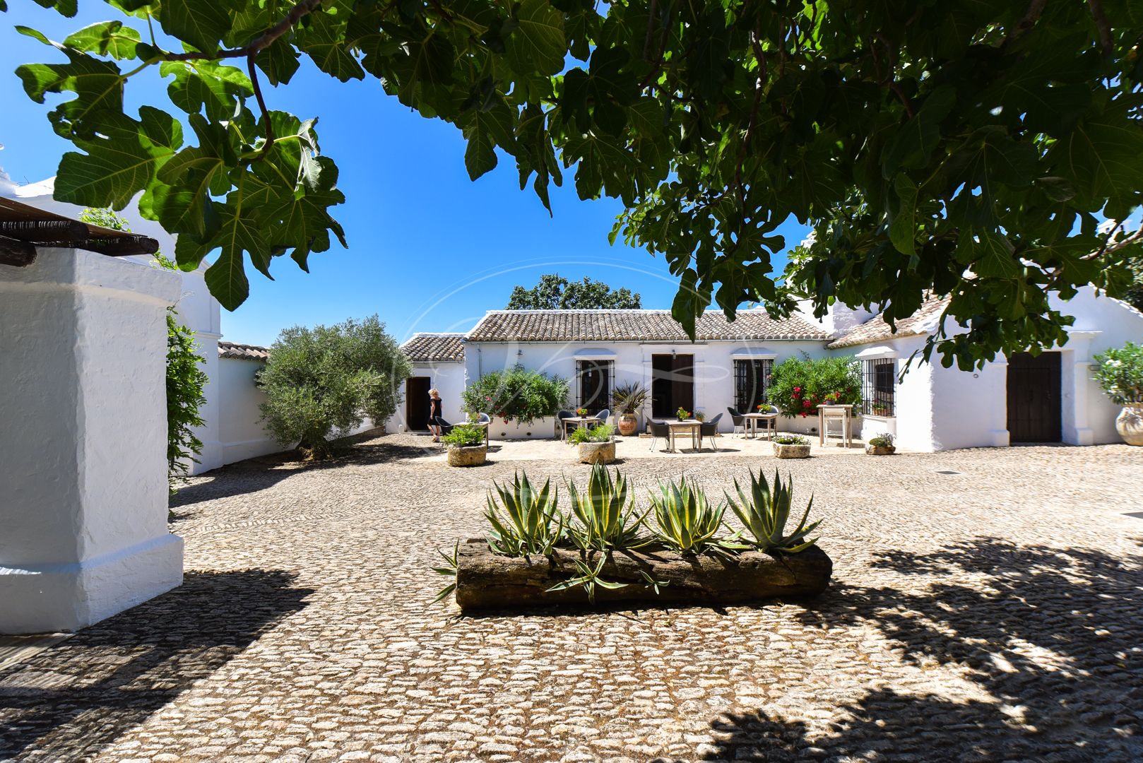 Cortijo for sale in Ronda
