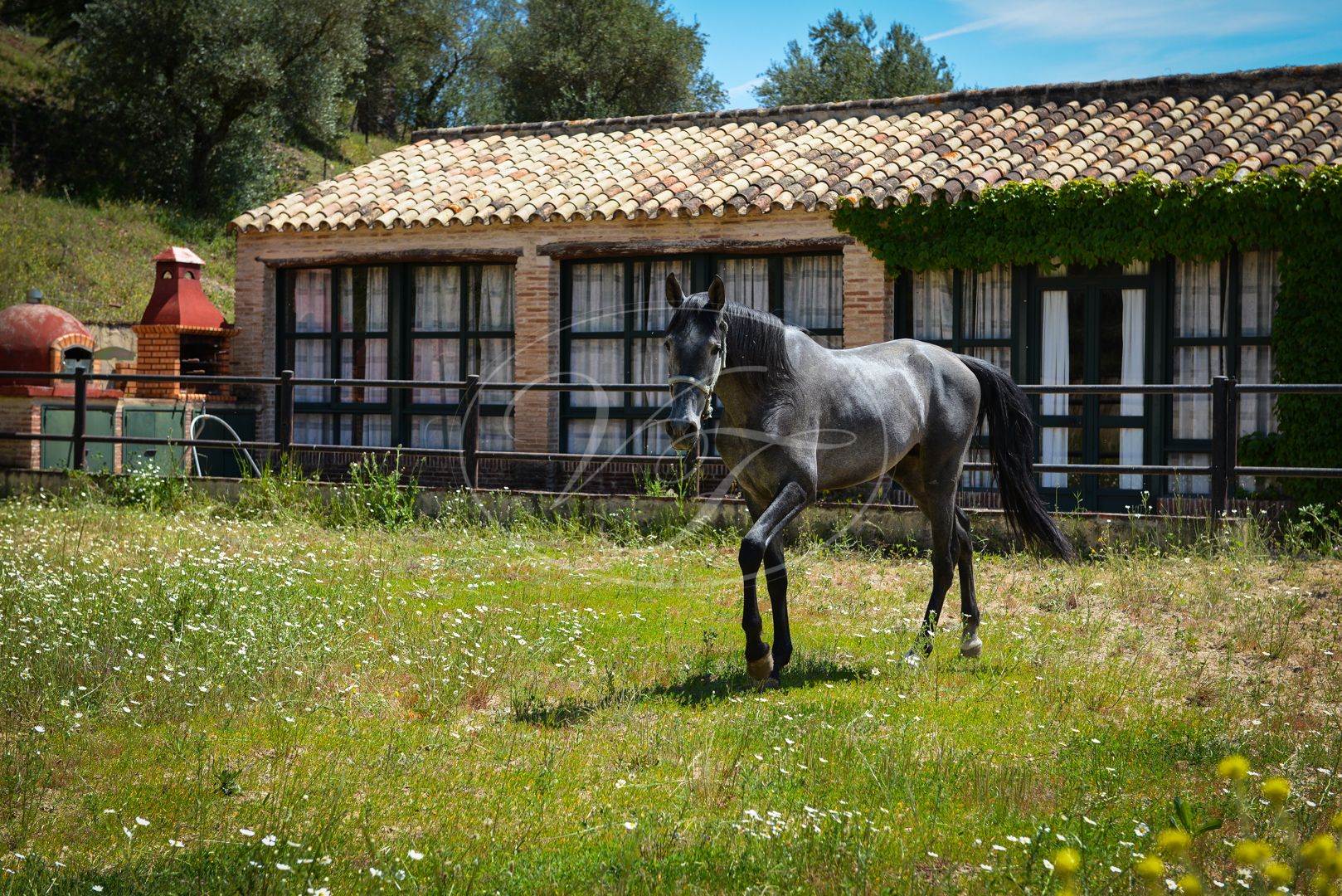 Boerderij te koop in Sevilla