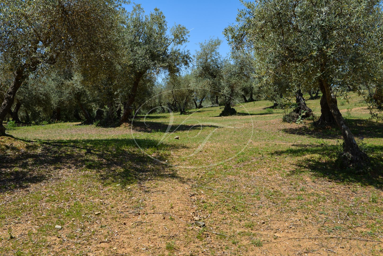 Boerderij te koop in Sevilla