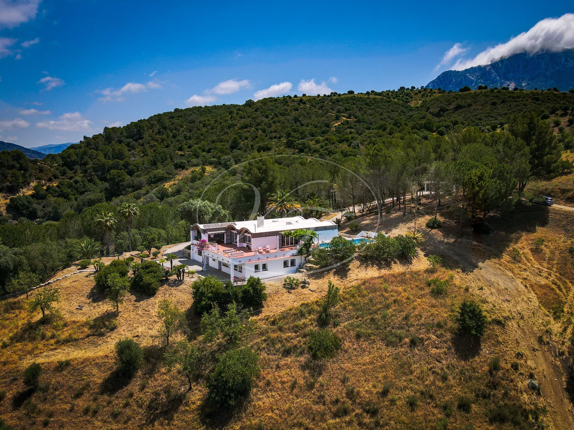 Estate for sale in Casares