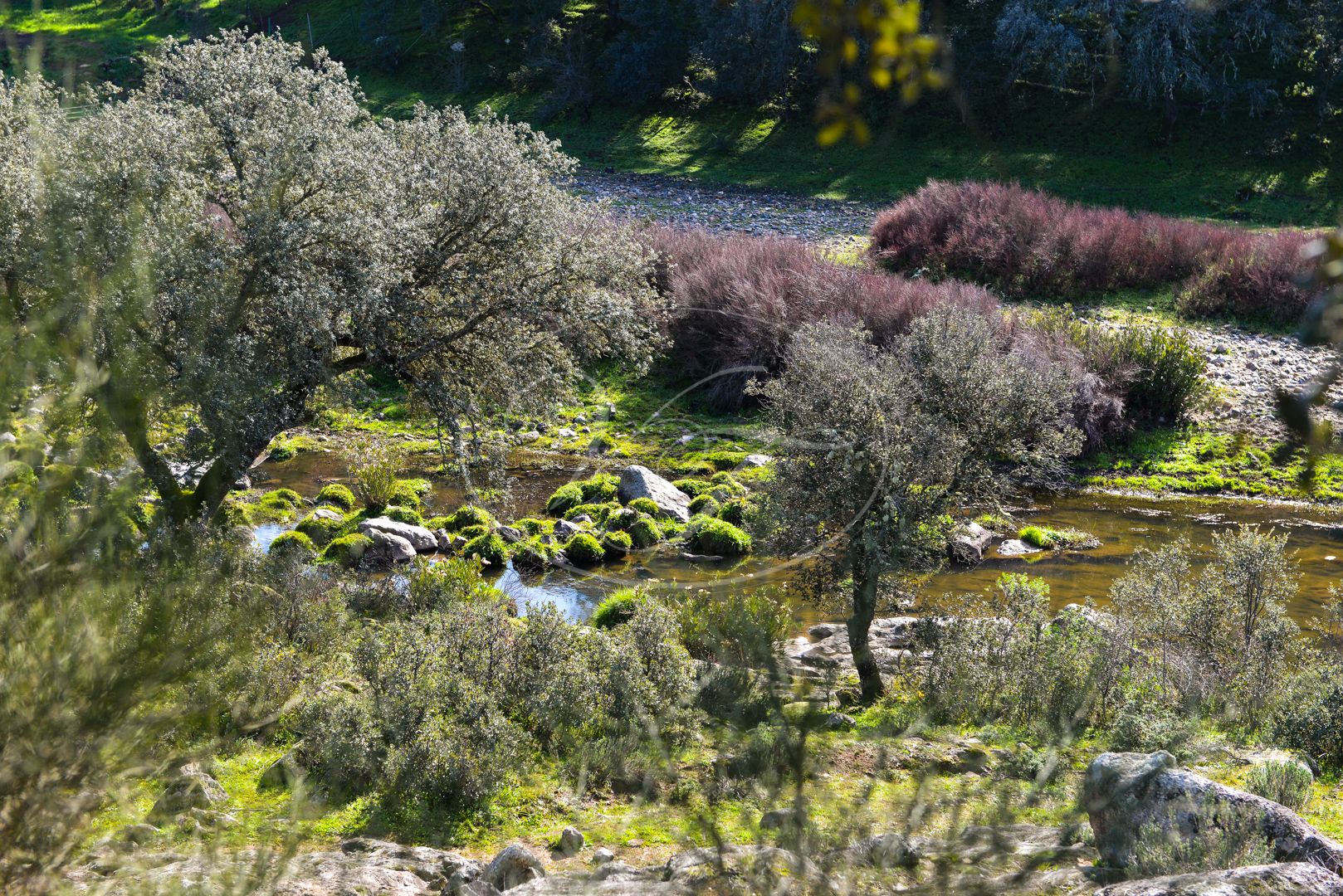Cortijo for sale in Seville