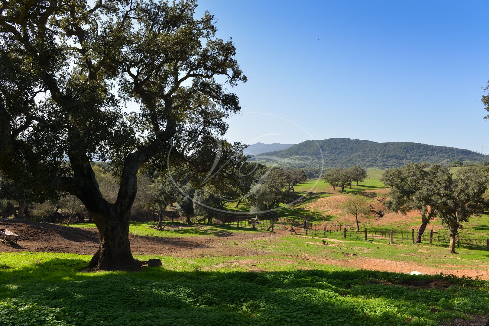 Cortijo for sale in Los Barrios