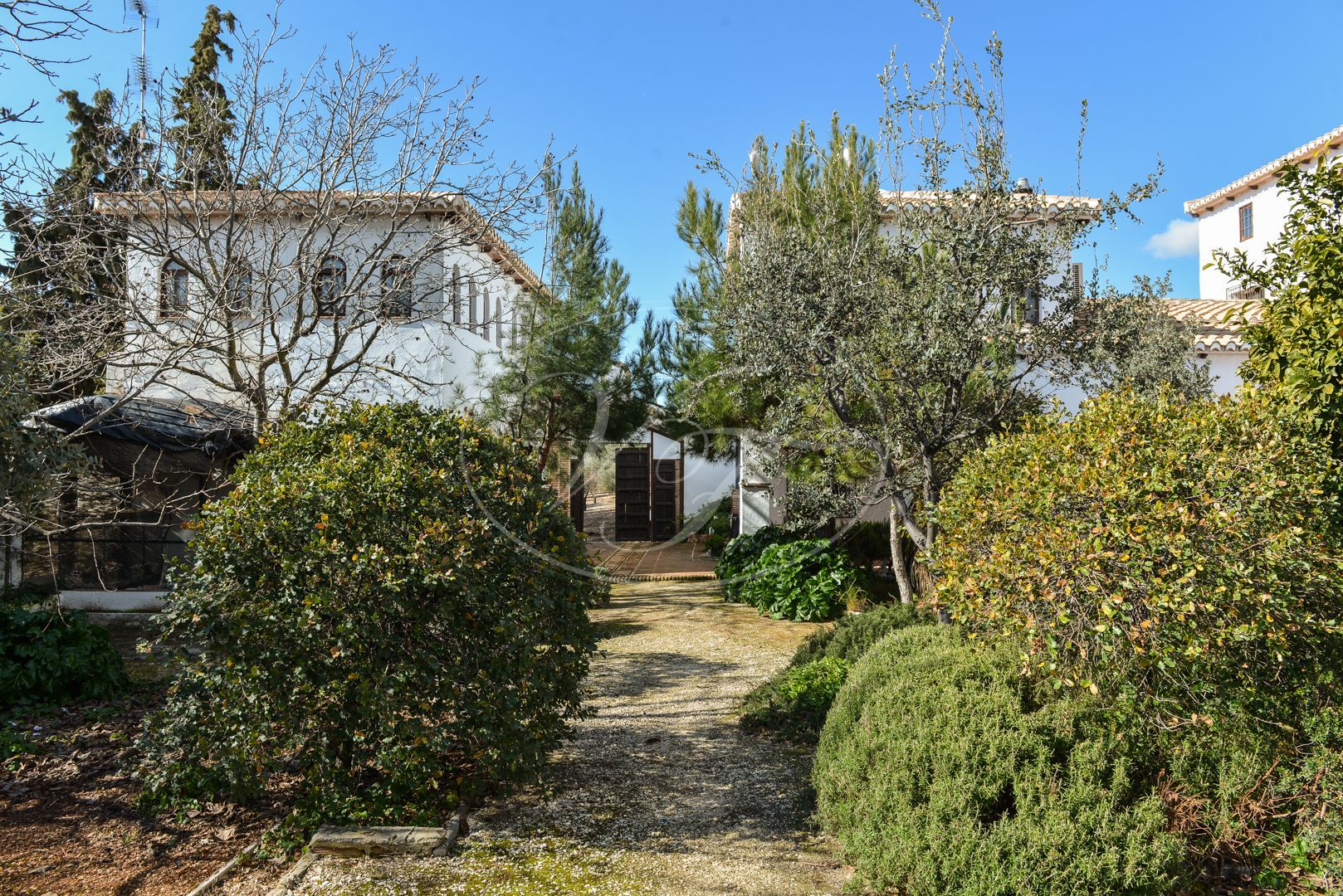 Cortijo for sale in Granada