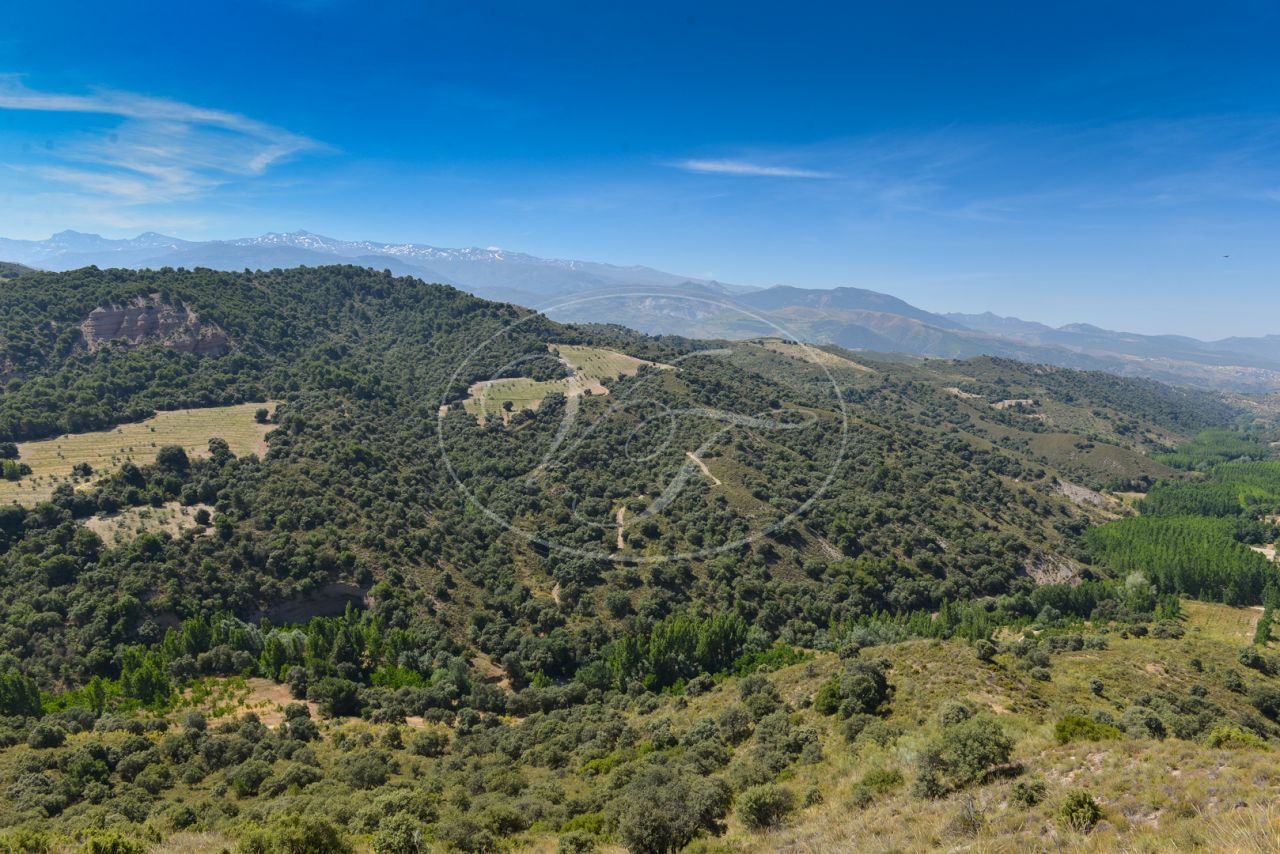 Landgoed te koop in Granada