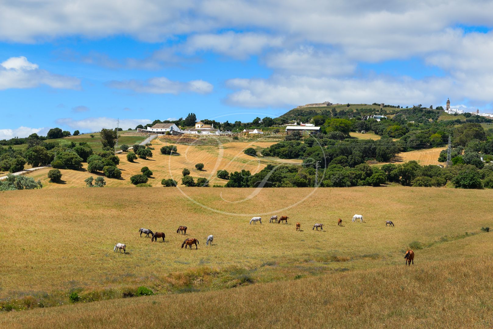 Cortijo for sale in Medina Sidonia