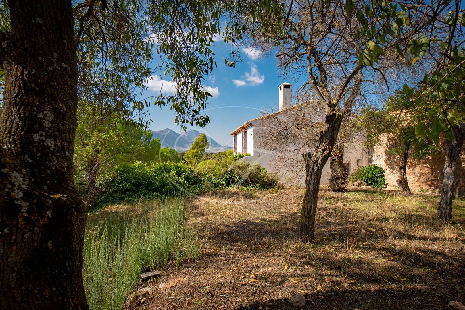 Cortijo for sale in Antequera