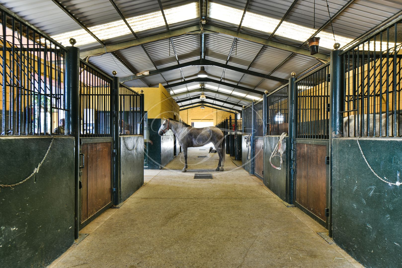 Boerderij te koop in Arcos de la Frontera