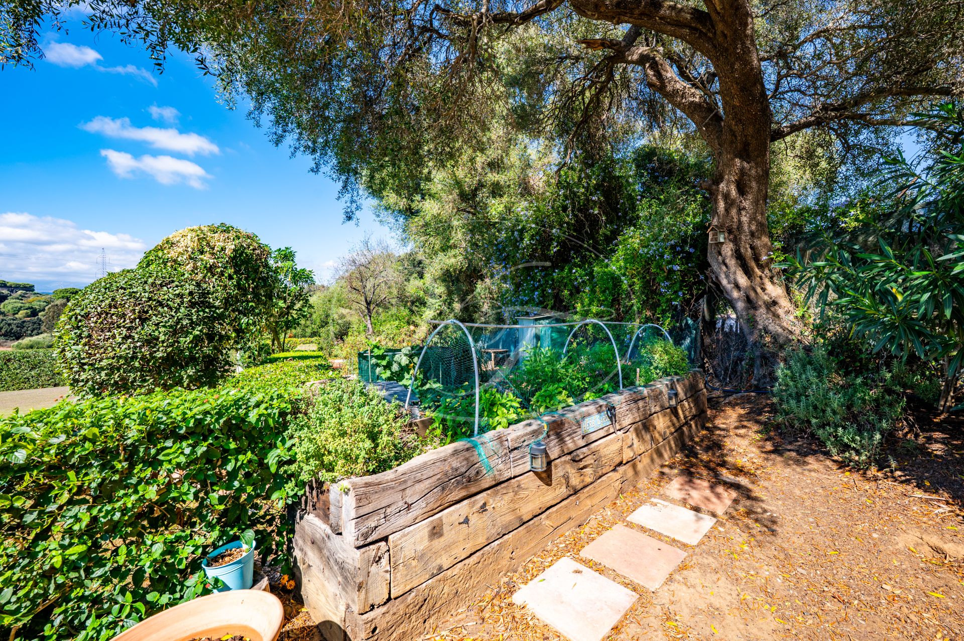 Casa de Campo en venta en San Roque