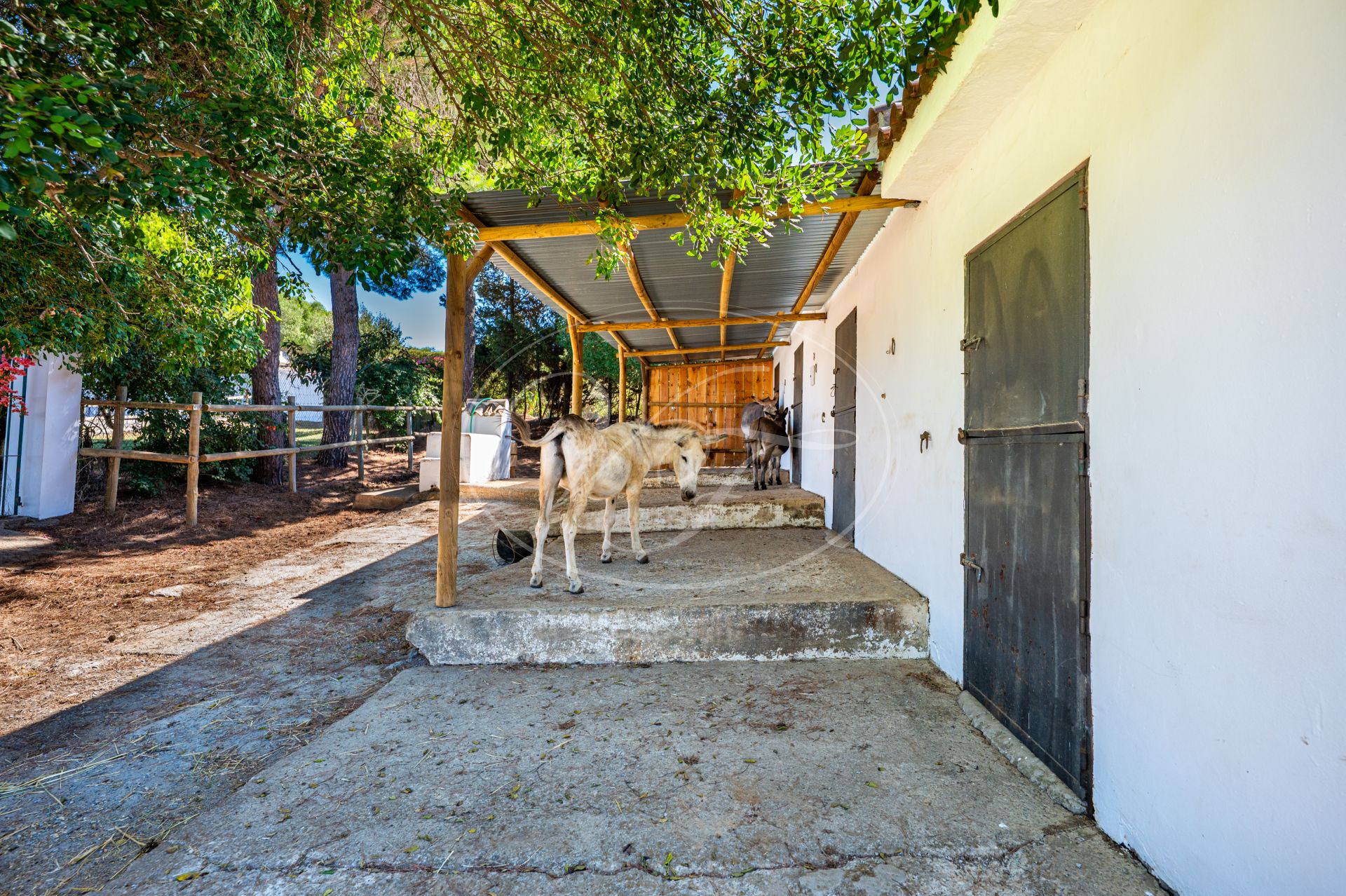 Casa de Campo en venta en San Roque