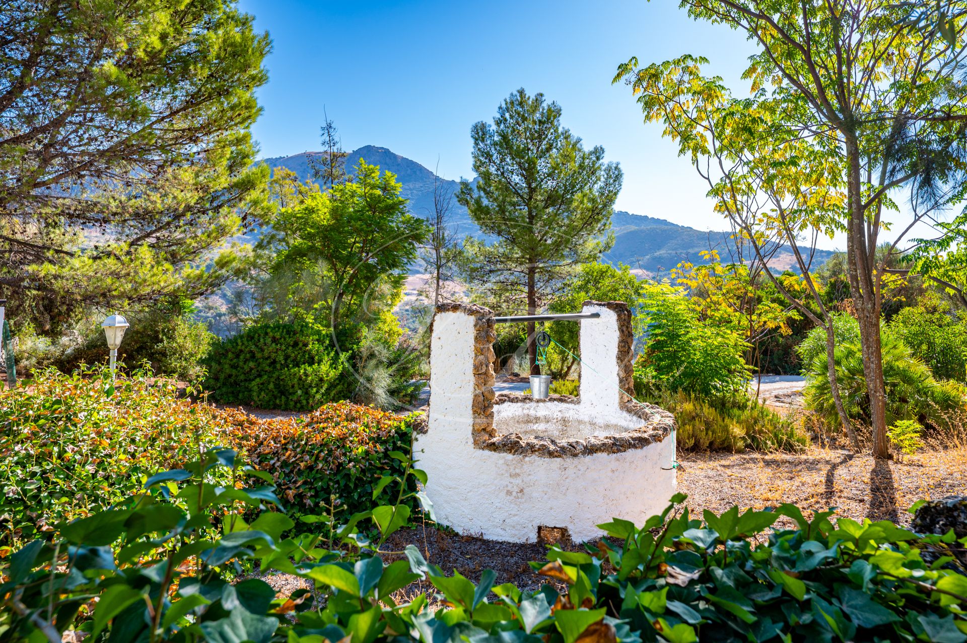 Finca for sale in Ronda