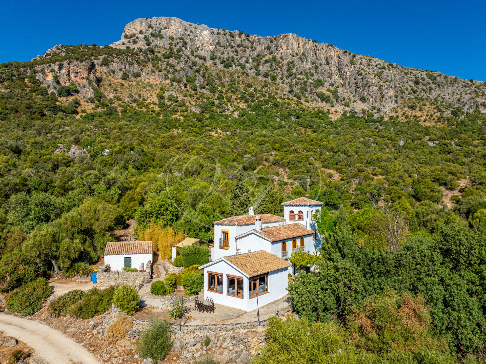 Finca for sale in Ronda
